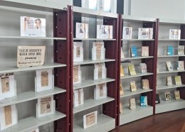 Exposição A Páscoa das Gaivotas